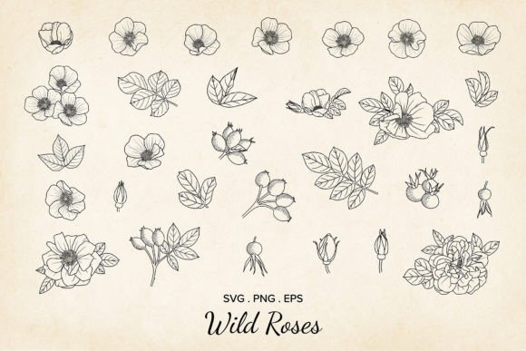 30 Wild Rose Flowers Vector for Crafts and Graphics